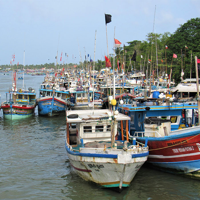 Port, Negombo, Sri Lanka