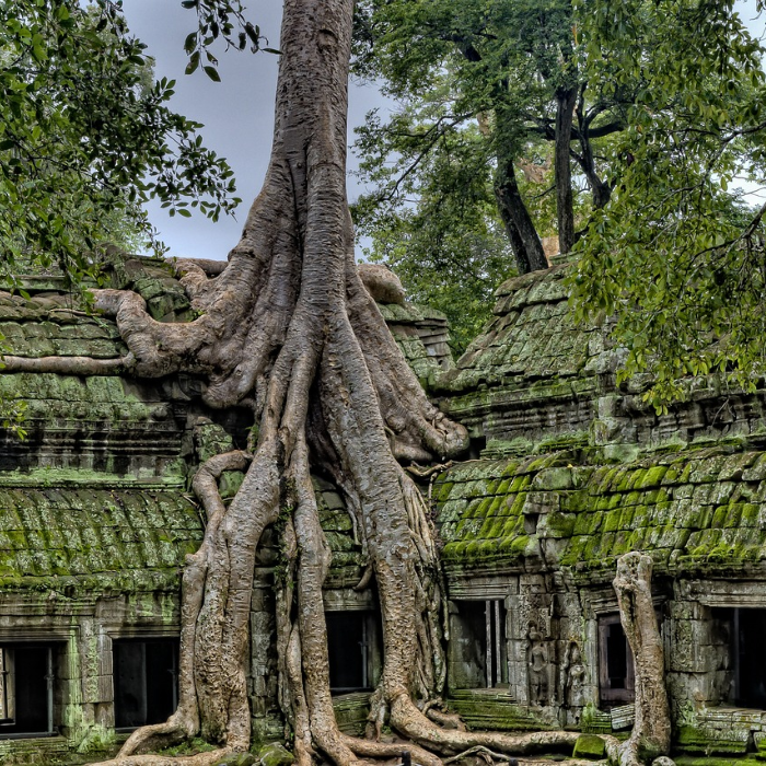 Temple d'angkor