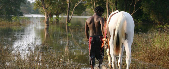 Sri lanka-Horse riding