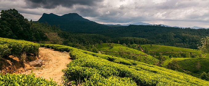 Sri lanka-Haputale