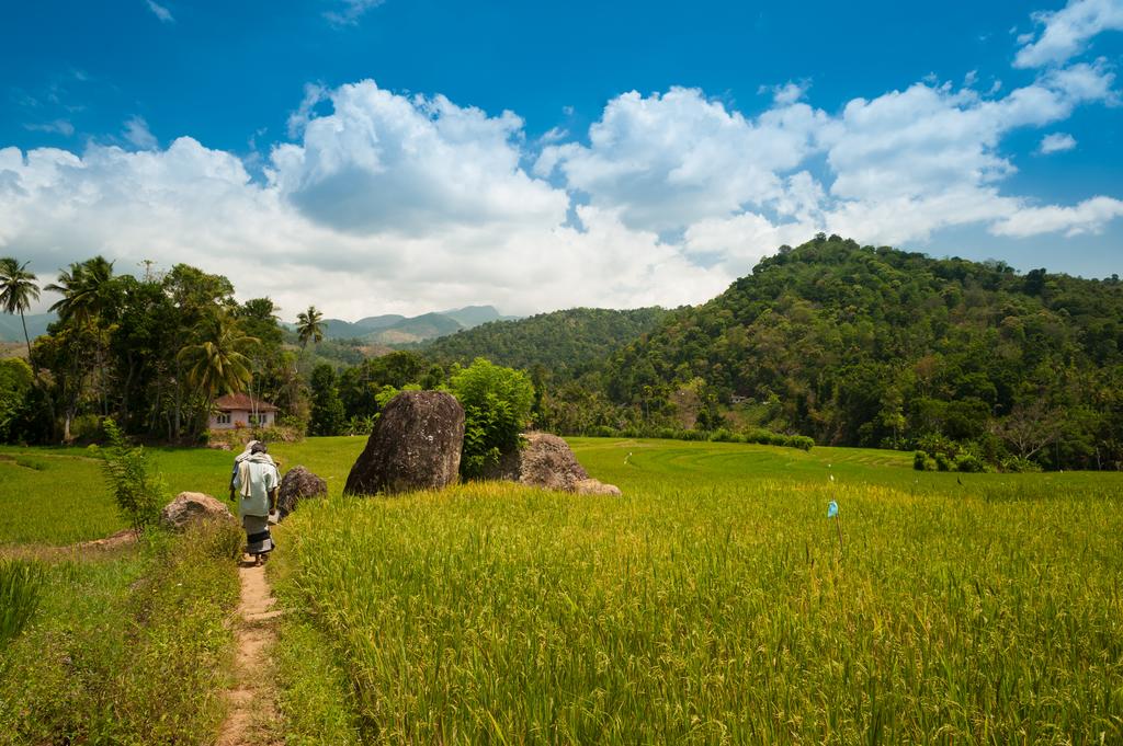 Sri lanka-Digana-Village walk