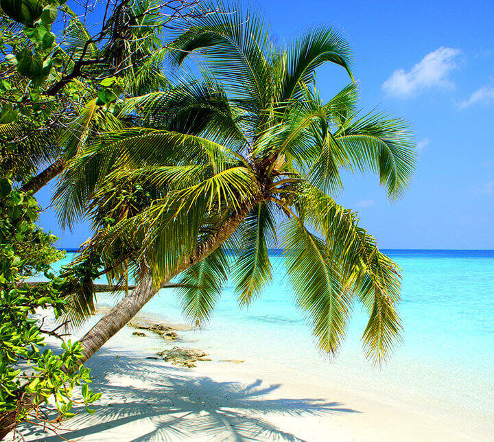 Maldives, destination paradisiaque, plage
