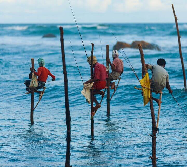Pêcheurs sur échasses, Weligama, Sri Lanka